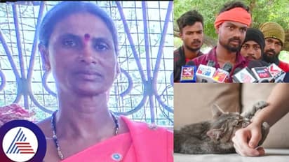 ಶಿವಮೊಗ್ಗ: ಮುದ್ದಾಗಿ ಸಾಕಿದ್ದ ಬೆಕ್ಕು ಕಚ್ಚಿ ಸಾವನ್ನಪ್ಪಿದ ಮನೆಯೊಡತಿ!