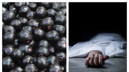 பள்ளியில் விழுந்து கிடந்த பழங்களை சாப்பிட்ட மாணவனுக்கு நேர்ந்த சோகம்; சக மாணவர்கள் கதறல்