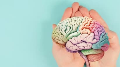 തലച്ചോറിൻ്റെ പ്രവർത്തനം വർദ്ധിപ്പിക്കുന്ന 8 സൂപ്പർഫുഡുകൾ 