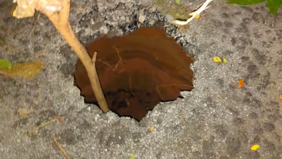 കുഴിപോലും ഇല്ലാതിരുന്ന റോഡ് , പെട്ടെന്ന് ബൈക്ക് യാത്രികന്റെ മുന്നിൽ വൻ ഗര്ത്തം, രക്ഷപ്പെട്ടത് തലനാരിഴയ്ക്ക്