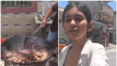 Viral Video: Indian influencer captures dog meat being sold publicly in China [WATCH]