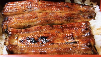 ചൂട് പ്രതിരോധിക്കാനായി പരമ്പരാഗത ഈൽ വിഭവം കഴിച്ചു, 90കാരിക്ക് ദാരുണാന്ത്യം, 150 പേർ ചികിത്സയിൽ