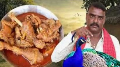 'Peacock curry recipe' lands Telangana YouTuber in soup, faces Wildlife Protection Act charges (WATCH)