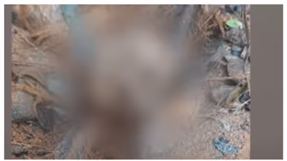 വയനാട്ടിലെ തെരച്ചിലിൽ 2 ശരീരഭാഗങ്ങൾ കൂടി കണ്ടെത്തി; ആനടികാപ്പിൽ നിന്ന് എയർലിഫ്റ്റ് ചെയ്തു