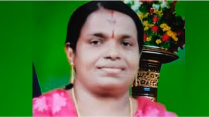 ക്ഷേത്ര ദർശനം കഴിഞ്ഞു മടങ്ങുമ്പോൾ വാഹനമിടിച്ച് വീട്ടമ്മ മരിച്ചു