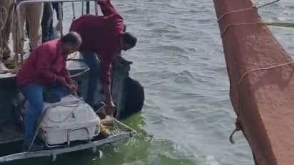 തലശ്ശേരിയിൽ നടുക്കടലിൽ ജീവനോടെ കാട്ടുപന്നി, ഉടൻ കോസ്റ്റൽ പൊലീസ് എത്തി, രക്ഷിച്ചെങ്കിലും പിന്നീട് ചത്തു