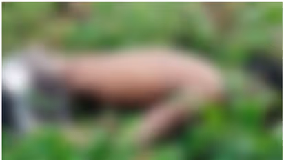 പത്തനംതിട്ട പ്ലാങ്കമണ്ണിൽ യുവാവിനെ മരിച്ച നിലയിൽ കണ്ടെത്തി; അന്വേഷണം തുടങ്ങി പൊലീസ്