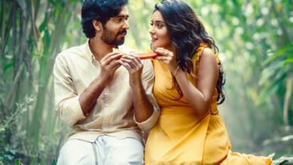 ചിരിയും പ്രണയവുമായി ഷെയ്ൻ നിഗം, ഒടിടിയില് ലിറ്റില് ഹാര്ട്സ് പ്രദര്ശനത്തിന് എത്തി