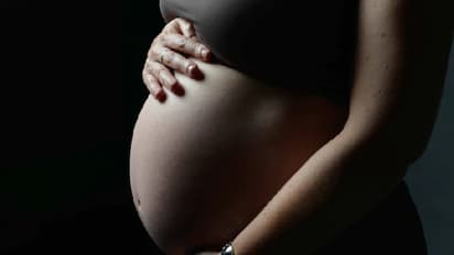 बॉम्बे हाईकोर्ट: Egg donor करने वाले का बच्चे पर कोई हक नहीं