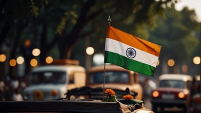 Why displaying the Tricolour on your vehicle might lead to legal trouble