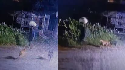 തൃത്താലയിൽ പുലർച്ചെ ഒരാളെത്തി, പുതിയ വീടിന്‍റെ വയറിംങ് ഊരി, സ്വിച്ചുകളും ചാക്കിലാക്കി; 1.5 ലക്ഷത്തിന്‍റെ മോഷണം