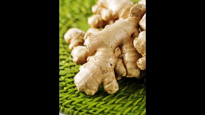 Winter Health: Key foods and tips to boost kids' immunity effectively