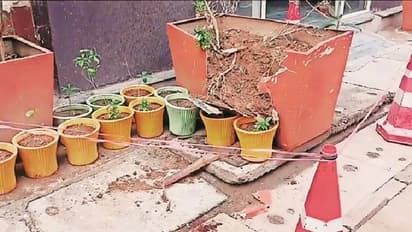 റീൽ ഷൂട്ടിം​ഗ്, 6 -ാം നിലയിൽ നിന്നും താഴെവീണ് പെൺകുട്ടി, ജീവൻ രക്ഷിച്ചത് ചെടിച്ചട്ടി