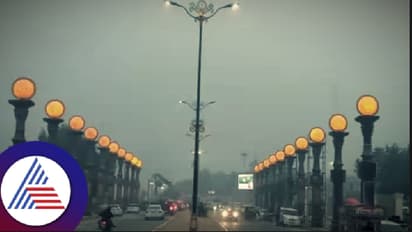  ಅಯೋಧ್ಯೆಯಲ್ಲಿ ಕಳ್ಳರ ಹಾವಳಿ; ರಾಮಪಥದ ₹50 ಲಕ್ಷ ಮೌಲ್ಯದ 3800 ಬಿದಿರಿನ ಬೀದಿ ದೀಪ, 36 ಪ್ರಾಜೆಕ್ಟರ್‌ ಕಳವು!