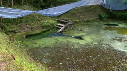 അമീബിക് മസ്തിഷ്കജ്വരം; ടാങ്കുകളിലും സ്വിമ്മിംഗ് പൂളുകളിലും രോഗാണു ഉണ്ടാകാം; ജലസ്രോതസുകളില്‍ ജാഗ്രത വേണം