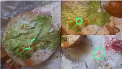 ചിക്കൻ ബർഗറിൽ ജീവനുള്ള പുഴു; കഴിച്ചവർക്ക് ദേഹാസ്വാസ്ഥ്യവും ഛർദിയും, പരാതി നൽകി