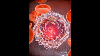 इन 7 अचूक फूड से क्लीन हो जाएगा बॉडी के अंदर का ब्लड