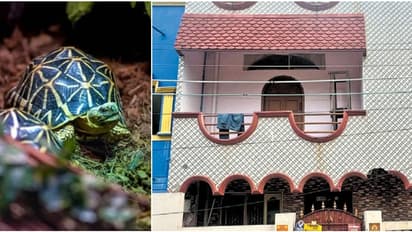 പാമ്പ്, നക്ഷത്രയാമ, കടലാമ, കുരങ്ങ്...; മുൻ പൊലീസുകാരന്റെ വാടക വീട്ടിൽ നിന്ന് പിടിച്ചെടുത്തത് 647 വന്യമൃഗങ്ങൾ