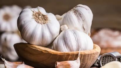 Garlic Price: வெங்காயத்தை தொடர்ந்து பூண்டு விலை கிடுகிடுவென உயர்வு! ஒரு கிலோ எவ்வளவு கேட்டா ஷாக் ஆயீடுவீங்க!