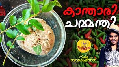 സ്പെഷ്യൽ കാന്താരി ചമ്മന്തി എളുപ്പം തയ്യാറാക്കാം