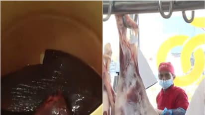 കേടായ ഇറച്ചി വിൽപ്പനയ്ക്ക് വെച്ചു, വിവിധ സ്ഥാപനങ്ങളിൽ പരിശോധന; കുവൈത്തിൽ പൂട്ടിയത് 12 കടകൾ