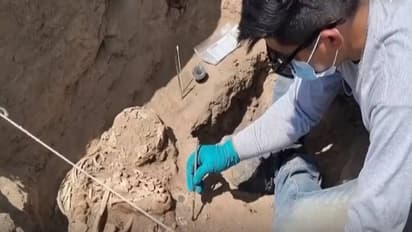 3000 -ത്തിലധികം വർഷം പഴക്കമുള്ള അസ്ഥികൂടങ്ങൾ കണ്ടെത്തി, സുപ്രധാന കണ്ടെത്തലെന്ന് ​ഗവേഷകർ