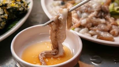 Bizarre Foods | இதெல்லாமா சாப்பிடுவாங்க! வினோத உணவு வகைகள்!