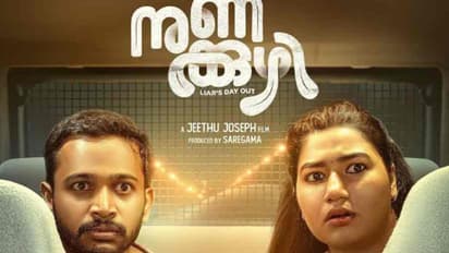 ആരെയൊക്കെ 'നുണക്കുഴി' വീഴ്ത്തും, കോടികളുടെ കളക്ഷൻ, ആകെ നേടിയ തുക ഞെട്ടിക്കുന്നത്