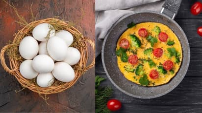 Egg Protein Secrets: Do Boiled Eggs Contain More Protein?