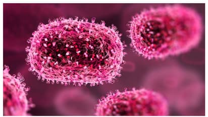 Mpox scare in India: AIIMS Delhi issues protocol for handling patients amid global surge in cases