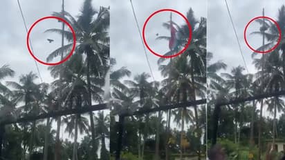 ಕೇರಳದಲ್ಲಿ ಪಕ್ಷಿಯಿಂದ ಧ್ವಜಾರೋಹಣ ವಿಡಿಯೋ ವೈರಲ್, ಕಾಗೆ ಹಾರಿಸಿದ್ದು ನಿಜಾನಾ?