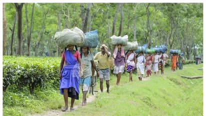 Suspected Bangladeshi migrants found among Assamese in Coorg? Tensions grow as local crime rates surge