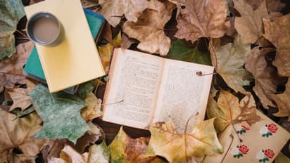 Valentine's Day 2025: 7 thoughtful books to gift your partner  