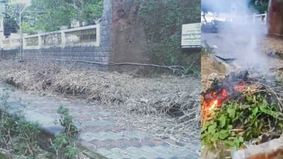 നൗഷാദിന്റെ ഓര്‍മക്കായി നിര്‍മിച്ച ബസ് ബേയിലെ അലങ്കാര ചെടികള്‍ വെട്ടിനശിപ്പിച്ച് തീയിട്ട് അജ്ഞാതർ 