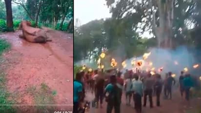 ಆಹಾರ ಅರಸಿ ಬಂದ ಆನೆಗೆ ಬೆಂಕಿಯ ಈಟಿ ಎಸೆದ ಜನ: ನರಳಿ ನರಳಿ ಪ್ರಾಣ ಬಿಟ್ಟ ಗಜರಾಜ