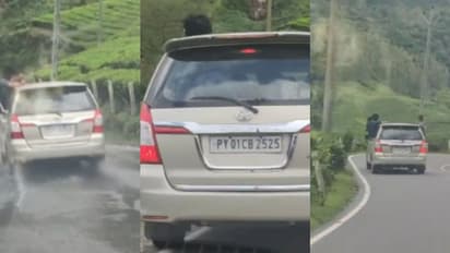 'എത്ര കിട്ടിയാലും പഠിക്കില്ല', ഇന്നോവ കാറിൽ മൂന്നാർ മറയൂരിലൂടെ സാഹസിക യാത്രയുമായി യുവാക്കൾ