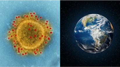 ഭൂമിയിലെ മുഴുവൻ ജീവികളുടെയും പൊതുപൂർവികൻ, ലൂക്കയുടെ പ്രായം ഇതുവരെ കരുതിയതിനേക്കാൾ വളരെ കൂടുതലെന്ന് പഠനം