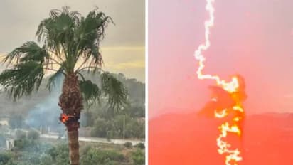 ഞെട്ടിക്കുന്ന ദൃശ്യങ്ങൾ; കാറ്റും മഴയും പകർത്തി യുവതി, പൊടുന്നനെ നിന്നുകത്തി പന