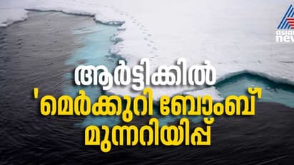 ഭയക്കണം, ആർട്ടിക്കിലെ 'മെർക്കുറി ബോംബി'നെ; മുന്നറിയിപ്പുമായി ശാസ്ത്രജ്ഞർ 