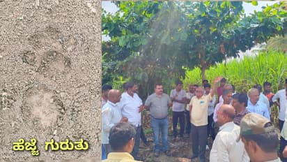 ಗುಮ್ಮಟನಗರಿ ವಿಜಯಪುರದಲ್ಲಿ ಚಿರತೆ ಪ್ರತ್ಯಕ್ಷ; ನಾಗರದಿನ್ನಿ ಗ್ರಾಮಸ್ಥರಲ್ಲಿ ಆತಂಕ!