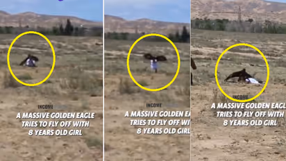 ಆಟವಾಡುತ್ತಿದ್ದ ಬಾಲಕಿ ಹೊತ್ತೊಯ್ಯಲು ಮುಂದಾದ ಗಿಡುಗ, ಜುಮ್ಮೆನಿಸುವ ಘಟನೆ ಸೆರೆ!