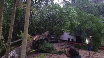 Kerala: Strong winds cause widespread damages in several districts; Train services disrupted