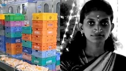 Aavin women Employee Death: ஷாக்கிங் நியூஸ்! ஆவின் பண்ணையில் தலை துண்டாகி பெண் பலி! நடந்தது என்ன?