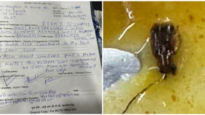 വിശ്വസിച്ചെങ്ങനെ കഴിക്കും! വന്ദേ ഭാരത് എക്സ്പ്രസിൽ കൊടുത്ത പരിപ്പ് കറിയിൽ ചത്ത പാറ്റ; പ്രതികരിച്ച് റെയിൽവേ