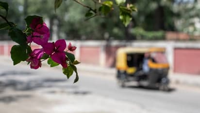 ऑटो ड्राइवर की ईमानदारी ने सुबह-सुबह पैसेंजर को किया हैरान, पोस्ट हुआ वायरल