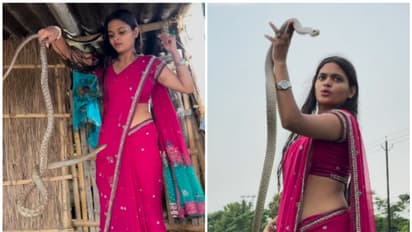 Viral Video: Woman in red saree skillfully handles and relocates massive snake, amazes internet