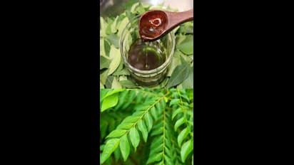 முடி கருகருவென வேகமாக வளர.. கருவேப்பிலை எண்ணெய் இப்படி தடவுங்க..