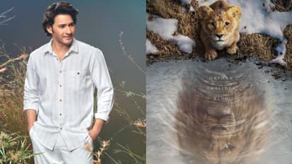 Mufasa: After Shah Rukh Khan, Mahesh Babu lends his voice for Telugu version; Read on