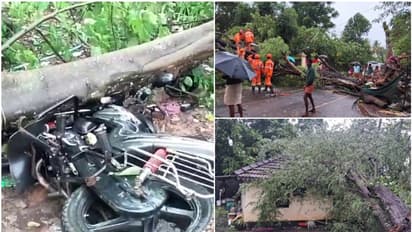 മഴയ്ക്കൊപ്പം അതിശക്തമായ കാറ്റും; പലയിടത്തും വ്യാപകനാശം, കൊല്ലത്ത് വള്ളം മറിഞ്ഞ് മത്സ്യത്തൊഴിലാളി മരിച്ചു