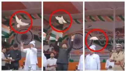 എംഎൽഎയും കലക്ടറും എസ്പിയും പ്രാവിനെ പറത്തി; താൻ പറത്തിയ പ്രാവ് മാത്രം പറക്കാത്തതിൽ നടപടി ആവശ്യപ്പെട്ട് എസ്പി